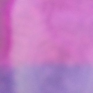 Meet your Posher, Rylan